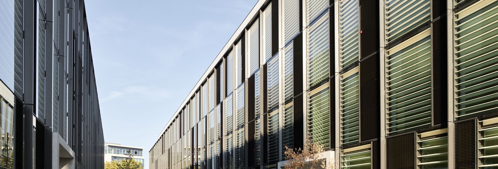 ConceptWall 86 Façades, ThermoSystem 68 Windows, ConceptWall 50 Façades and TS 68-HV Windows - Office building Lou Gardens located in Lyon, France